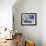 Sailboat-Richard Wallich-Framed Giclee Print displayed on a wall