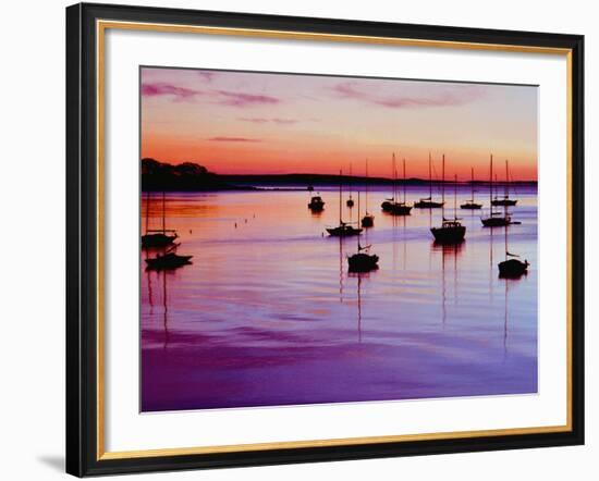 Sailboats Anchored in a Harbor-Cindy Kassab-Framed Photographic Print