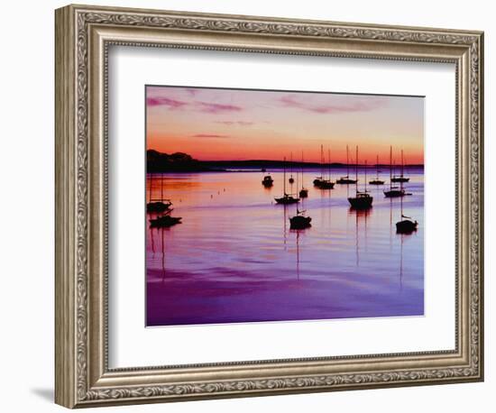 Sailboats Anchored in a Harbor-Cindy Kassab-Framed Photographic Print