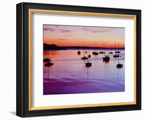 Sailboats Anchored in a Harbor-Cindy Kassab-Framed Photographic Print