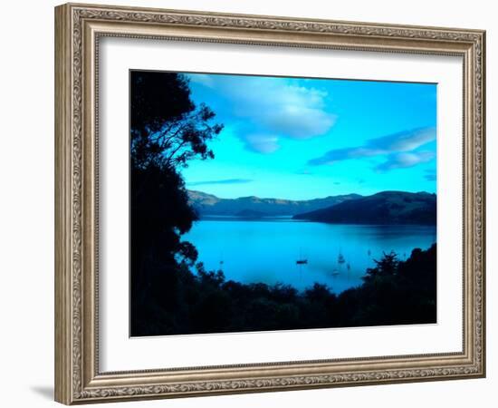 Sailboats at Anchor, Akaroa Peninsula, New Zealand-William Sutton-Framed Photographic Print