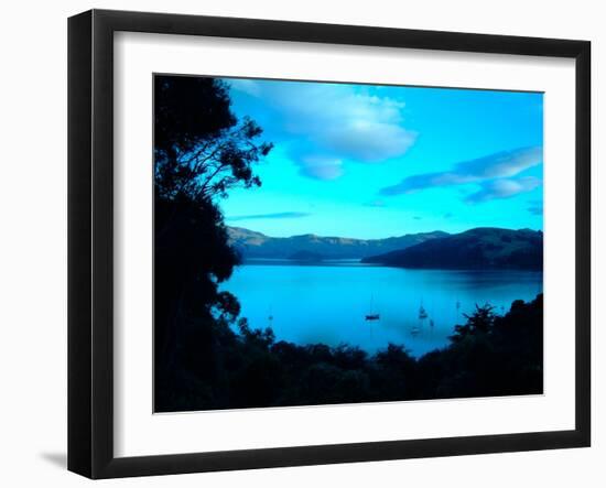 Sailboats at Anchor, Akaroa Peninsula, New Zealand-William Sutton-Framed Photographic Print