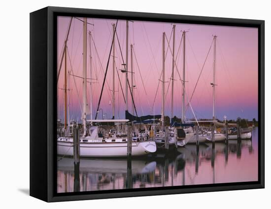 Sailboats at Dusk, Chesapeake Bay, Virginia, USA-Charles Gurche-Framed Premier Image Canvas