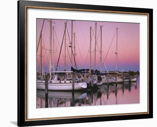 Sailboats at Dusk, Chesapeake Bay, Virginia, USA-Charles Gurche-Framed Photographic Print