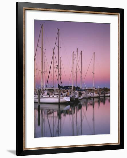 Sailboats at Dusk, Chesapeake Bay, Virginia, USA-Charles Gurche-Framed Photographic Print