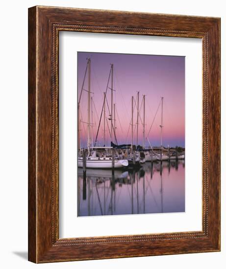 Sailboats at Dusk, Chesapeake Bay, Virginia, USA-Charles Gurche-Framed Photographic Print