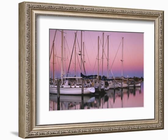 Sailboats at Dusk, Chesapeake Bay, Virginia, USA-Charles Gurche-Framed Photographic Print