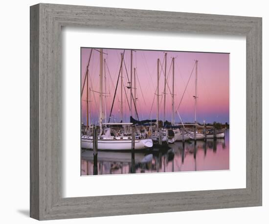 Sailboats at Dusk, Chesapeake Bay, Virginia, USA-Charles Gurche-Framed Photographic Print