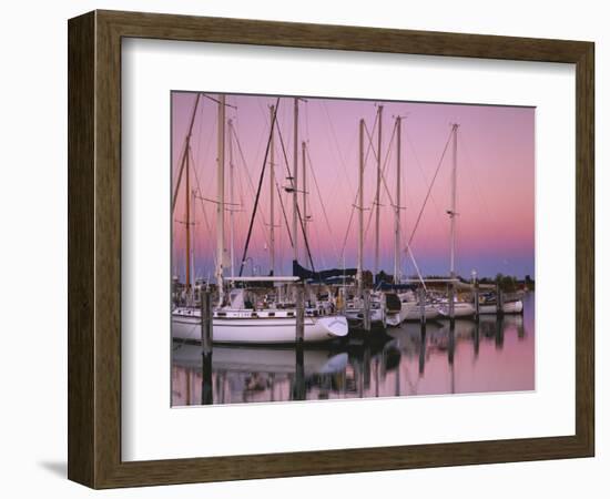 Sailboats at Dusk, Chesapeake Bay, Virginia, USA-Charles Gurche-Framed Photographic Print