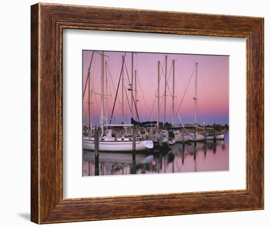 Sailboats at Dusk, Chesapeake Bay, Virginia, USA-Charles Gurche-Framed Photographic Print