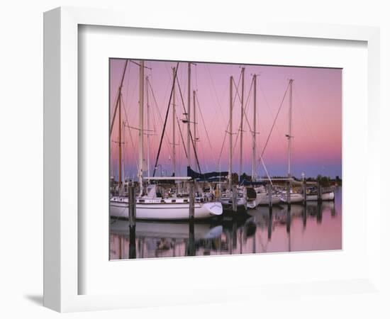 Sailboats at Dusk, Chesapeake Bay, Virginia, USA-Charles Gurche-Framed Photographic Print