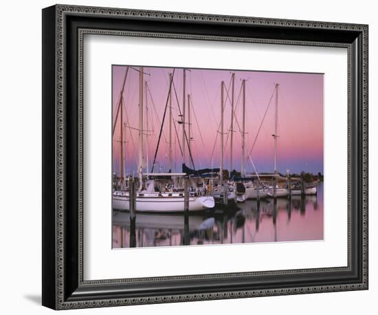 Sailboats at Dusk, Chesapeake Bay, Virginia, USA-Charles Gurche-Framed Photographic Print