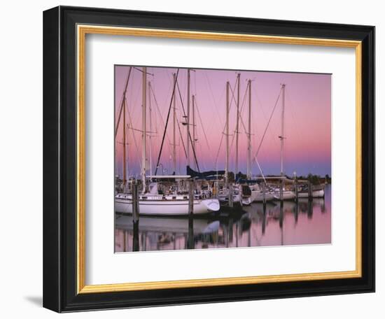Sailboats at Dusk, Chesapeake Bay, Virginia, USA-Charles Gurche-Framed Photographic Print