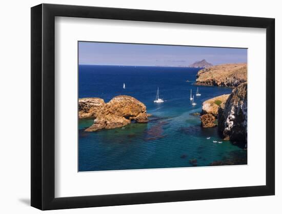 Sailboats at Scorpion Cove, Santa Cruz Island, Channel Islands National Park, California-Russ Bishop-Framed Photographic Print