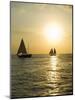 Sailboats at Sunset, Key West, Florida, United States of America, North America-Robert Harding-Mounted Photographic Print