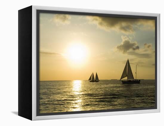 Sailboats at Sunset, Key West, Florida, USA-R H Productions-Framed Premier Image Canvas