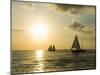 Sailboats at Sunset, Key West, Florida, USA-R H Productions-Mounted Photographic Print