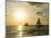Sailboats at Sunset, Key West, Florida, USA-R H Productions-Mounted Photographic Print