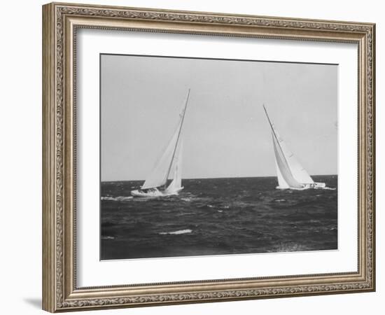 Sailboats During the America's Cup Trials-null-Framed Photographic Print