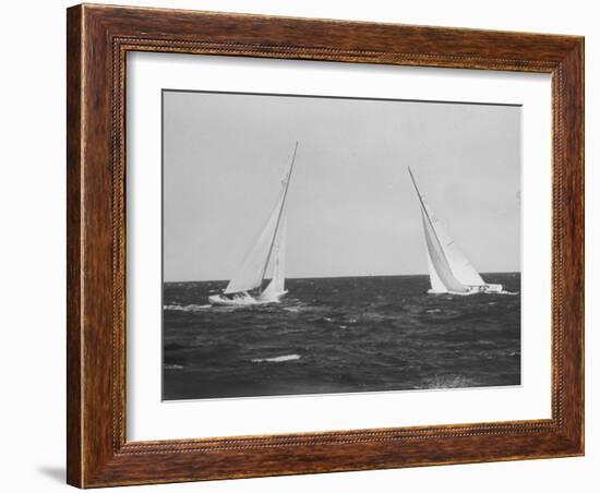 Sailboats During the America's Cup Trials-null-Framed Photographic Print