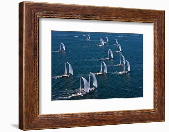 Sailboats in Swan Nyyc Invitational Regatta, Newport, Rhode Island, USA-null-Framed Photographic Print