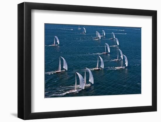 Sailboats in Swan Nyyc Invitational Regatta, Newport, Rhode Island, USA-null-Framed Photographic Print