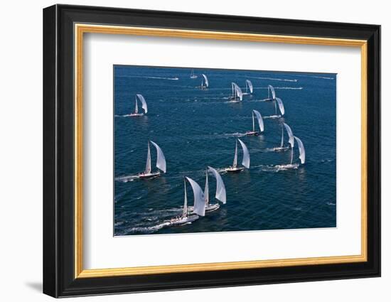 Sailboats in Swan Nyyc Invitational Regatta, Newport, Rhode Island, USA-null-Framed Photographic Print