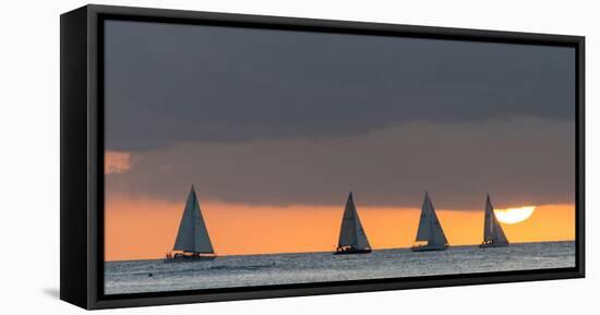 Sailboats in the Ocean at Sunset, Waikiki, Honolulu, Oahu, Hawaii, USA-Keith Levit-Framed Premier Image Canvas