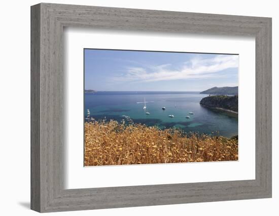 Sailboats in the turquoise sea, Sant'Andrea Beach, Marciana, Elba Island, Livorno Province, Tuscany-Roberto Moiola-Framed Photographic Print