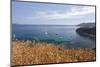 Sailboats in the turquoise sea, Sant'Andrea Beach, Marciana, Elba Island, Livorno Province, Tuscany-Roberto Moiola-Mounted Photographic Print