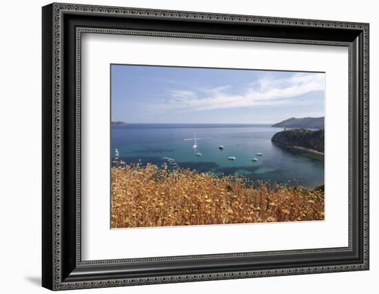 Sailboats in the turquoise sea, Sant'Andrea Beach, Marciana, Elba Island, Livorno Province, Tuscany-Roberto Moiola-Framed Photographic Print