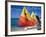 Sailboats on the Beach at Princess Cays, Bahamas-Jerry & Marcy Monkman-Framed Photographic Print