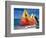 Sailboats on the Beach at Princess Cays, Bahamas-Jerry & Marcy Monkman-Framed Photographic Print