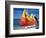 Sailboats on the Beach at Princess Cays, Bahamas-Jerry & Marcy Monkman-Framed Photographic Print