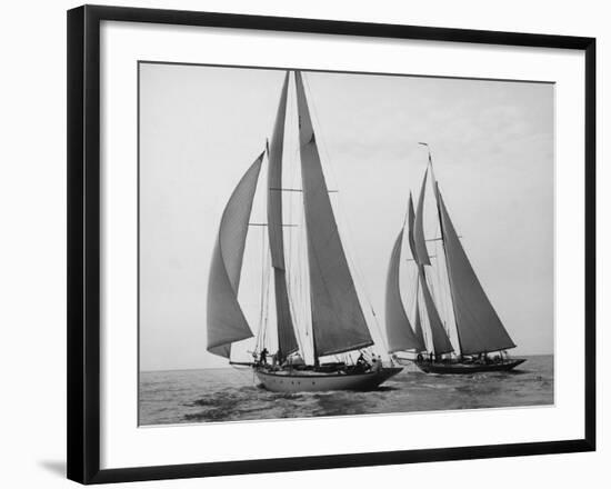 Sailboats Race during Yacht Club Cruise-Edwin Levick-Framed Art Print