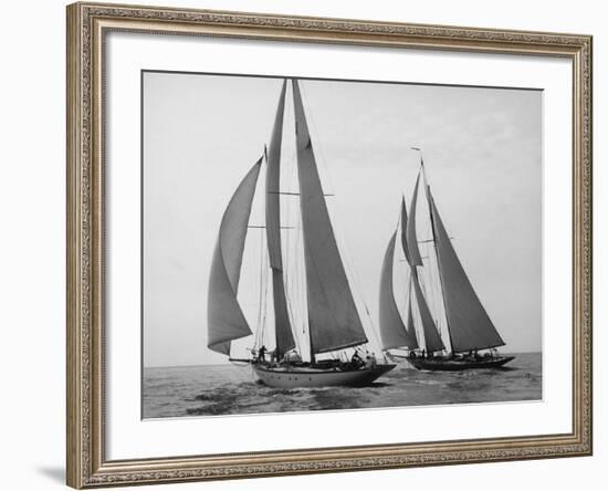 Sailboats Race during Yacht Club Cruise-Edwin Levick-Framed Art Print