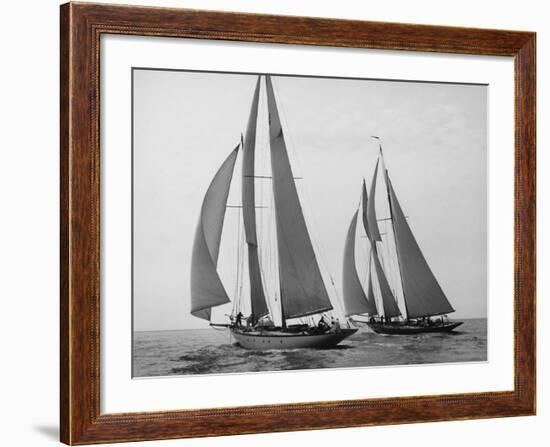 Sailboats Race during Yacht Club Cruise-Edwin Levick-Framed Art Print