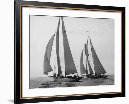 Sailboats Race during Yacht Club Cruise-Edwin Levick-Framed Art Print