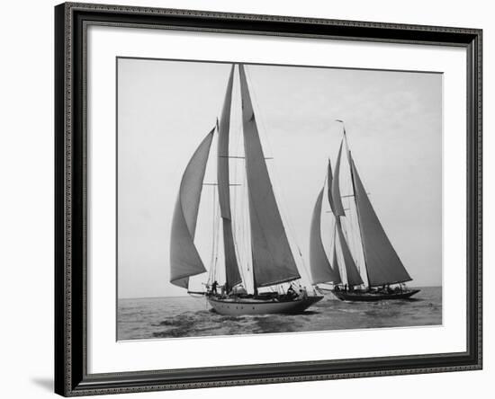 Sailboats Race during Yacht Club Cruise-Edwin Levick-Framed Art Print