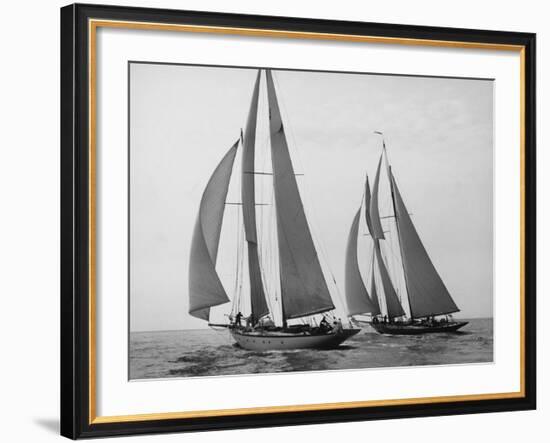 Sailboats Race during Yacht Club Cruise-Edwin Levick-Framed Art Print