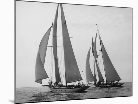 Sailboats Race during Yacht Club Cruise-Edwin Levick-Mounted Art Print