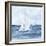 Sailboats V-Chris Paschke-Framed Art Print