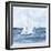 Sailboats V-Chris Paschke-Framed Art Print