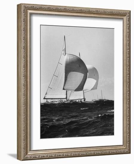 Sailboats Weatherly and Australian Contender Gretel in America's Cup Races-George Silk-Framed Photographic Print