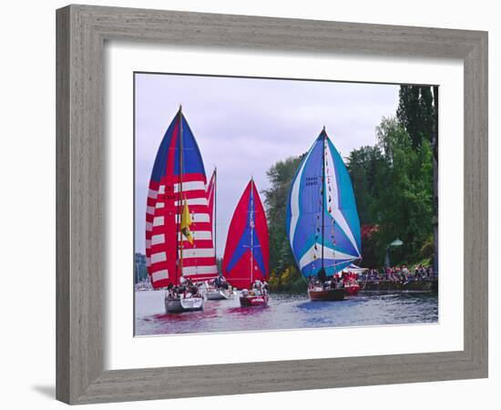 Sailboats with Spinakers in the Opening Day Parade of Boating Season, Seattle, Washington, USA-Charles Sleicher-Framed Photographic Print