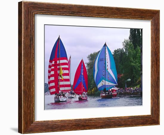 Sailboats with Spinakers in the Opening Day Parade of Boating Season, Seattle, Washington, USA-Charles Sleicher-Framed Photographic Print