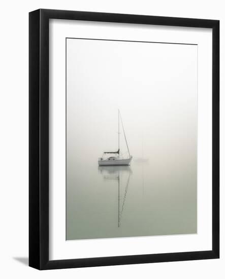 Sailboats-Nicholas Bell Photography-Framed Photographic Print