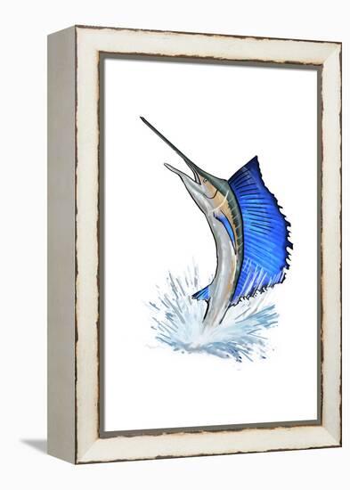 Sailfish - Icon-Lantern Press-Framed Stretched Canvas