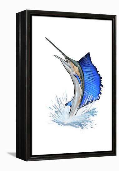 Sailfish - Icon-Lantern Press-Framed Stretched Canvas