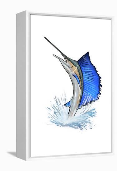 Sailfish - Icon-Lantern Press-Framed Stretched Canvas